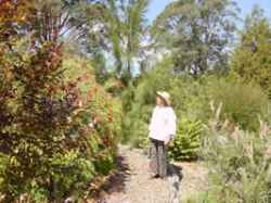 Take a tour of our Australian Natives Garden.
